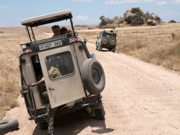 Bologonja_Seronera2009-75